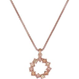 Ted Baker Kette Messing Ketten Damen