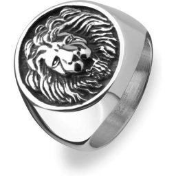 FAVS Edelstahlring Edelstahl Ringe Herren