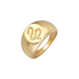 Elli PREMIUM Elli PREMIUM Ring Siegelring Schlange Kraft Symbol 925 Silber Ringe Damen