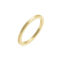 Elli PREMIUM Elli PREMIUM Ring Basic Ehering 375 Gelbgold Ringe Damen