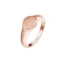 Elli Elli Ring Siegelring Royal Matt Geo Basic Trend 925 Silber Ringe Damen