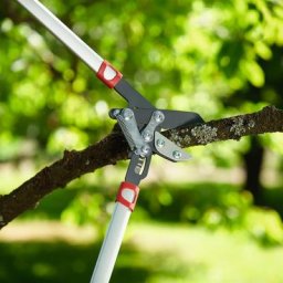 Amboss Astschere Power Cut*** RS 800 V