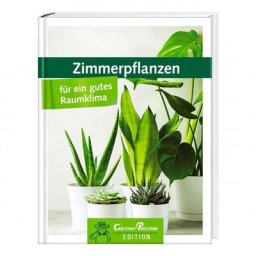 Zimmerpflanzen für ein gutes Raumklima