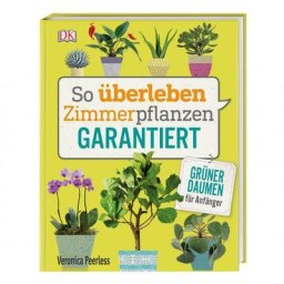 So überleben Zimmerpflanzen garantiert