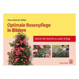 Optimale Rosenpflege in Bildern - Schritt für Schritt zu mehr Erfolg