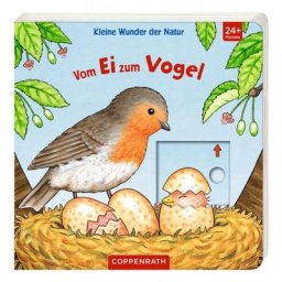 Kleine Wunder der Natur: Vom Ei zum Vogel