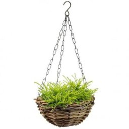 Hängeampel Rattan, 30 cm