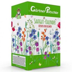 Saatgut-Adventskalender Bienen und Blumen