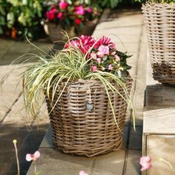 Pflanzkübel Outdoor-Rattan, klein, 30x34x34 cm