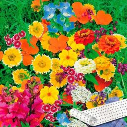 Blumen-Saatteppich 20 cm x 3 m, Zauberteppich