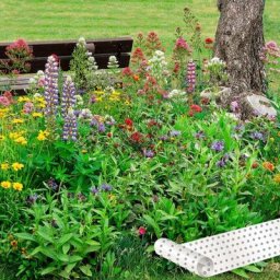 Blumen-Saatteppich 0,20 x 3 m Passepartout-Mix
