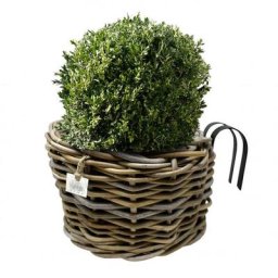 Balkonkasten Rondo Rattan, 31x20cm