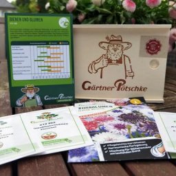 Saatgut-Holzbox Bienen und Blumen