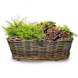Balkonkasten Quadra Rattan, 52x32x20cm