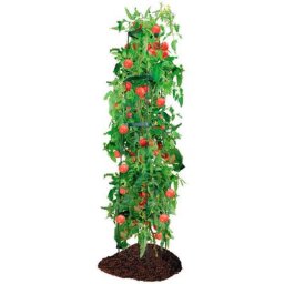 Tomaten-Rankhilfe
