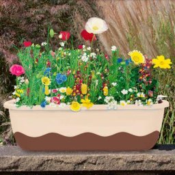 Saatplatte 38 x 17 cm Mini-Blumenwiese Multicolor