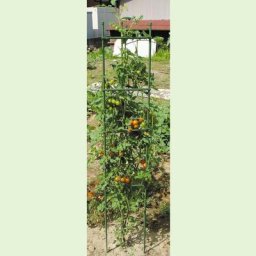 Tomaten-Rankturm, 150 x 30 cm