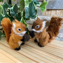 Eichhörnchen-Set mit Nuss