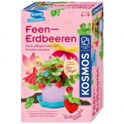 Feen-Erdbeeren, Experimentierkasten