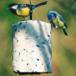 Energiekuchen mit Insekten, 500 g