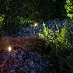 LED Spot Plug & Shine Plantini 3er Basisset