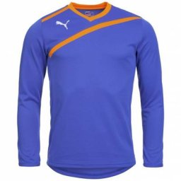 PUMA Esito Langarm Torwarttrikot 701064-37