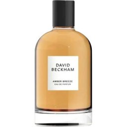 David Beckham Collection Amber Breeze Eau de Parfum Spray 100 ml Damen