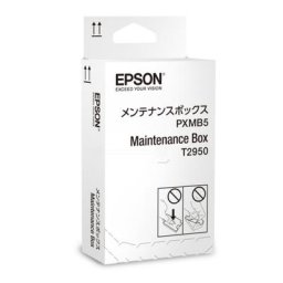 Epson T2950 / C 13 T 295000 Druckerzubehör no color original