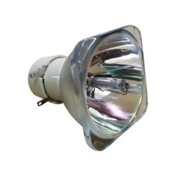 Nackte Philips Lampe BENQ W750 Bulb-5J.J7K05.001 Nackte Philips Lampe