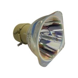 Nackte Philips Lampe OPTOMA HD25-LV-WHD Bulb-BL-FU240A / SP.8RU01GC01 Nackte Philips Lampe