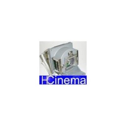 Ruby Lampe BENQ MS527 Ruby-5J.J9R05.001 Lampe Ruby