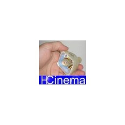 Nackte Philips Lampe SANYO PLV-Z3 Bulb-610-317-5355 / LMP86 / ET-SLMP86 Nackte Philips Lampe