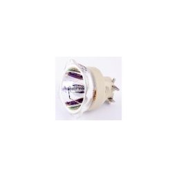Ersatzlampe PHILIPS UHP 310-245W 1.0 E20.9 UHP 310-245W 1.0 E20.9 Nackte Philips Lampe