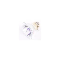 Nackte Philips Lampe OPTOMA HD82 Bulb-BL-FU220D / SP.8AF01GC01 Nackte Philips Lampe