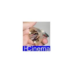 Nackte Lampe BARCO F22 sx+ Bulb-R9801265 / 400-0402-00 Nackte Lampe