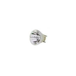 Nackte Philips Lampe OPTOMA DAWSSU Bulb-BL-FU200D / SP.7D101GC01 Nackte Philips Lampe