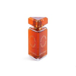 State of Mind Aesthetic Turbulence Perfume Parfum