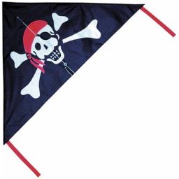 Breeze Pirate Kite Lenkdrachen OGK109