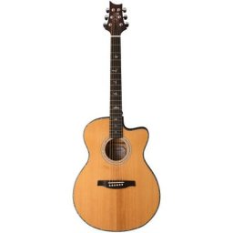 PRS SE A50E BG inc. Case