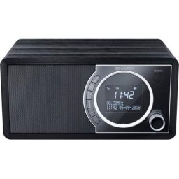 Sharp DR-450 Digitalradio (DAB) (Automatische Senderverfolgung, Digitalradio (DAB), FM-Tuner mit RDS, 6 W)
