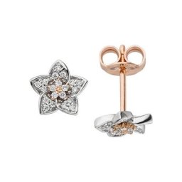 JOBO Paar Ohrstecker Blume, 585 Gold bicolor mit 40 Diamanten