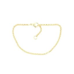 Firetti Edelstahlarmband Erbskettengliederung, 2,4 mm breit, gelbgoldfarben, Made in Germany