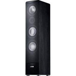 CANTON Ergo 690 DC Stand-Lautsprecher (320 W, 1 Sück)