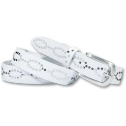 Silbergift Nietengürtel Nietenapplikation in Eyeline-Optik