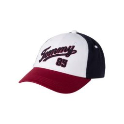 Tommy Hilfiger Trucker Cap in Logofarben Colorblocking