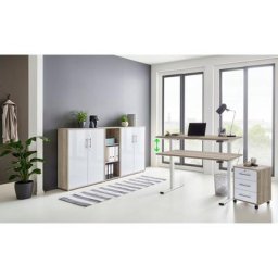 BMG Möbel Büromöbel-Set Tabor, (Set, 5-St), mit elektrisch höhenverstellbarem Schreibtisch