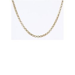 Firetti Edelstahlkette Erbskettengliederung, 2,4 mm breit, gelbgoldfarben, Made in Germany