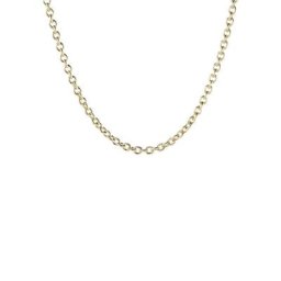Firetti Edelstahlkette Ankerkettengliederung, 2,9 mm breit, gelbgoldfarben, Made in Germany