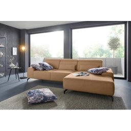 sit&more Ecksofa, Fußhöhe 12 cm, inklusive Sitztiefenverstellung und Kopfteilverstellung