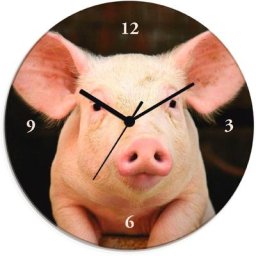 Artland Wanduhr Vorwitziges Schwein (wahlweise mit Quarz- oder Funhuhrwerk, lautlos ohne Tickgeräusche)